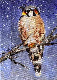 "Falcon In Deep December" by Jan Wood, Muskego, WI - Water mixable Oil